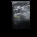 학익동물병원 이미지