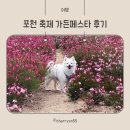 밍키애견 | 포천 가든페스타 축제 후기｜강아지와 함께한 애견동반 나들이