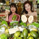 파파야모텔 이미지