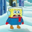 주정차단속-106 | 수지구청 완부제빵소 두쫀쿠 두바이 쫀득쿠키 리뷰-내돈내산