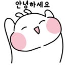 좋은생활강원총판 이미지