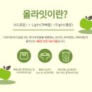 올라잇미