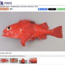 삿포로 조잔케이 료칸 - 스이잔테이 클럽 가이세키 석식, 조식 2번 먹은 후기