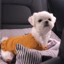 샌드비(SandB) 이미지