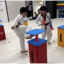 로운 태권도장 네이버블로그