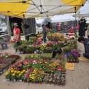 울진시장 | 🐟 울진 여행 — 바지게시장 5일장 방문 후기