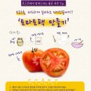 토마토피부과 이미지