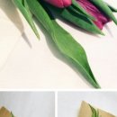 화림농장 이미지