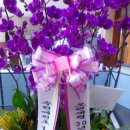 매원초등학교 이미지