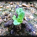 연동농장 이미지