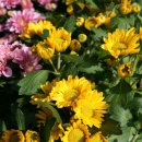 남원무도장 이미지