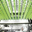 세븐일레븐 화곡중앙점 이미지