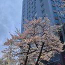 신암근린공원 이미지