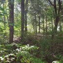 순천시야영장 이미지