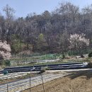 덕림농장 이미지