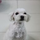 웅 네이버블로그