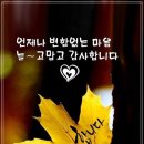 멍이와 냥이 이미지