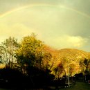 무지개주유소 이미지