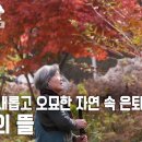 자연의 순리대로 사는 은퇴 부부의 힐링동화🌈 | 내츄럴 휴먼 다큐 자연의 철학자들 2부 부부의 뜰 211210 KBS 방송 이미지