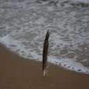 알맹이민박 이미지