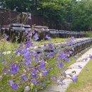 미추홀공원 다례원 이미지