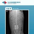 성심동물의료센터 이미지