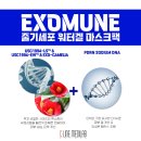 씨라인 이미지
