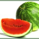 강원정 삼계탕 이미지