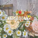 꽃길 | 창원 대방동 꽃집 꽃길, 졸업 시즌 꽃다발 예약 픽업 후기