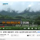 케어큐 이미지