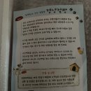 댕냥점빵 - 서구 큰장로15길 1-1 | 댕냥점빵