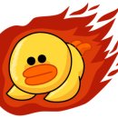 HRD 실무전문가 과정 이미지