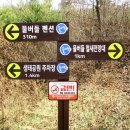 봉선지둘레길 이미지