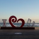 새동해바다 이미지