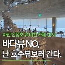 인스타 | 충남 숨은 핫플! 신정호 호수뷰 카페 산시, 인스타 감성 끝판왕