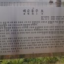 혜순옹주묘 | 2012_07 경기 양평 혜순옹주묘