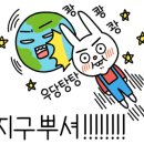 가람애견미용샵 이미지