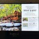 금성부페식당 | 제천 포레스트리솜 부대시설 식당가 몬도키친 조식 모요우 숲놀이터 별관측