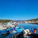 거북이행복어촌체험휴양마을 이미지