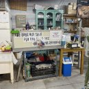 꽃향앤 다육 네이버블로그