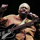 비비킹(B.B.KING) 이미지