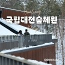 국립대전숲체원 파랑새 505호 숙소후기, 조식,예약방법안내