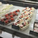 스테이 마지 이미지