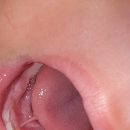 송담 M플란트치과의원 이미지