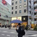도쿄 긴자 쇼핑｜에르메스 악어 버킨, 도버 스트리트 마켓