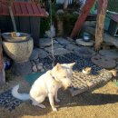 일월민박 이미지