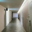 도미니클라바 이미지