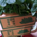 성은경로당 이미지