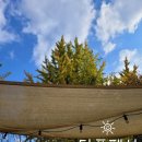 숲속&펜션 이미지