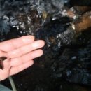 평창물소리펜션 이미지